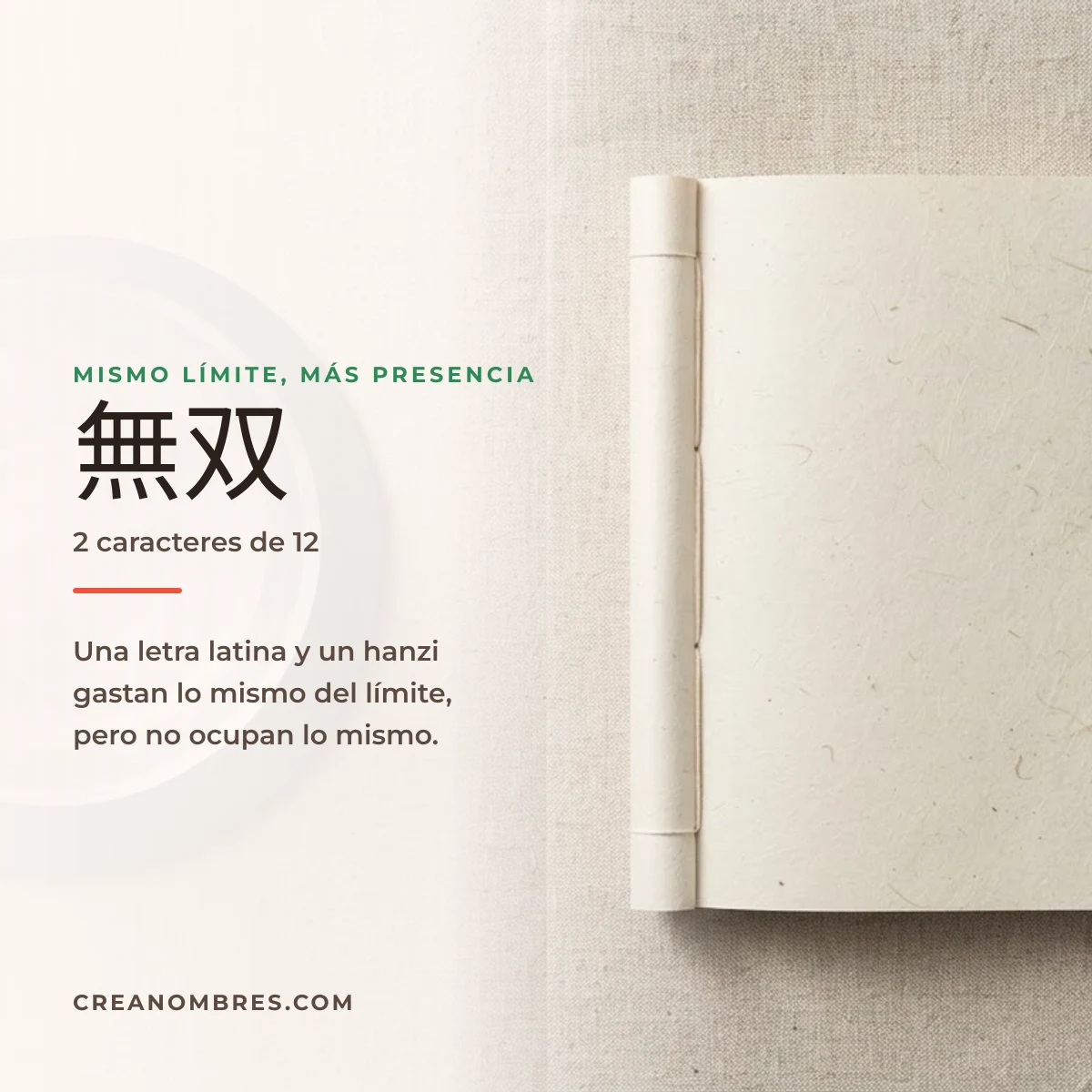 Libro de papel artesanal junto al nick 無双 y la explicación del límite de 12 caracteres